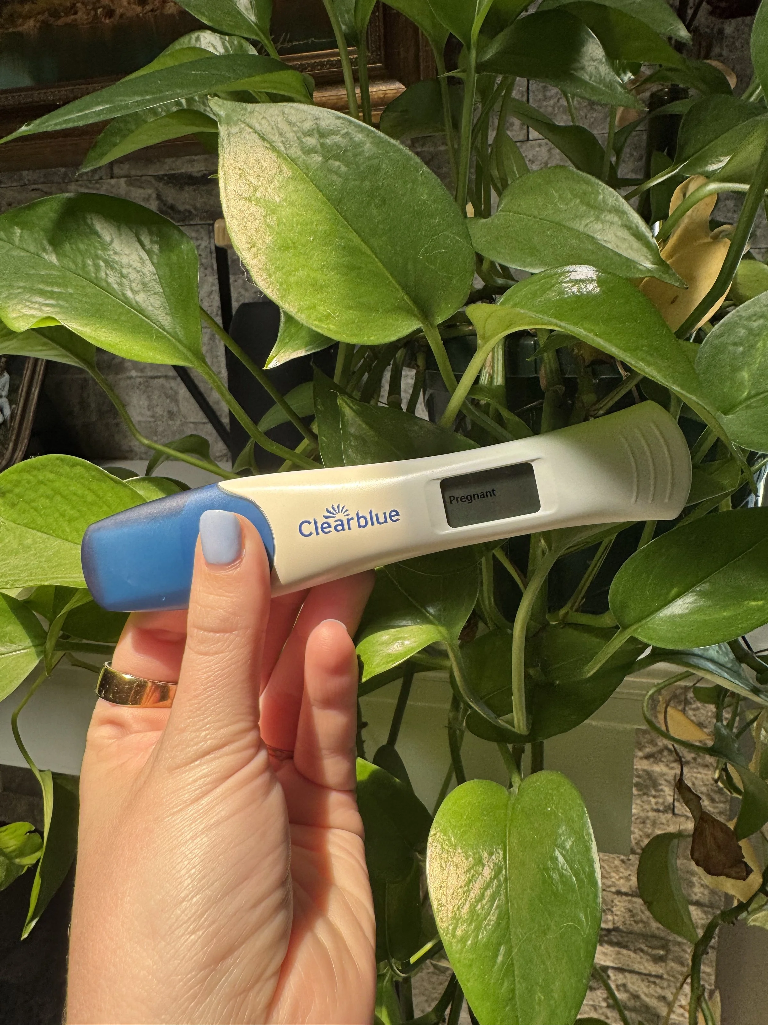 the summer I got pregnant