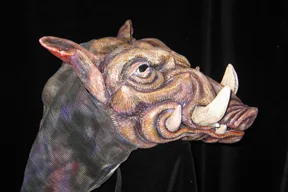 Whart Hog (Side).JPG