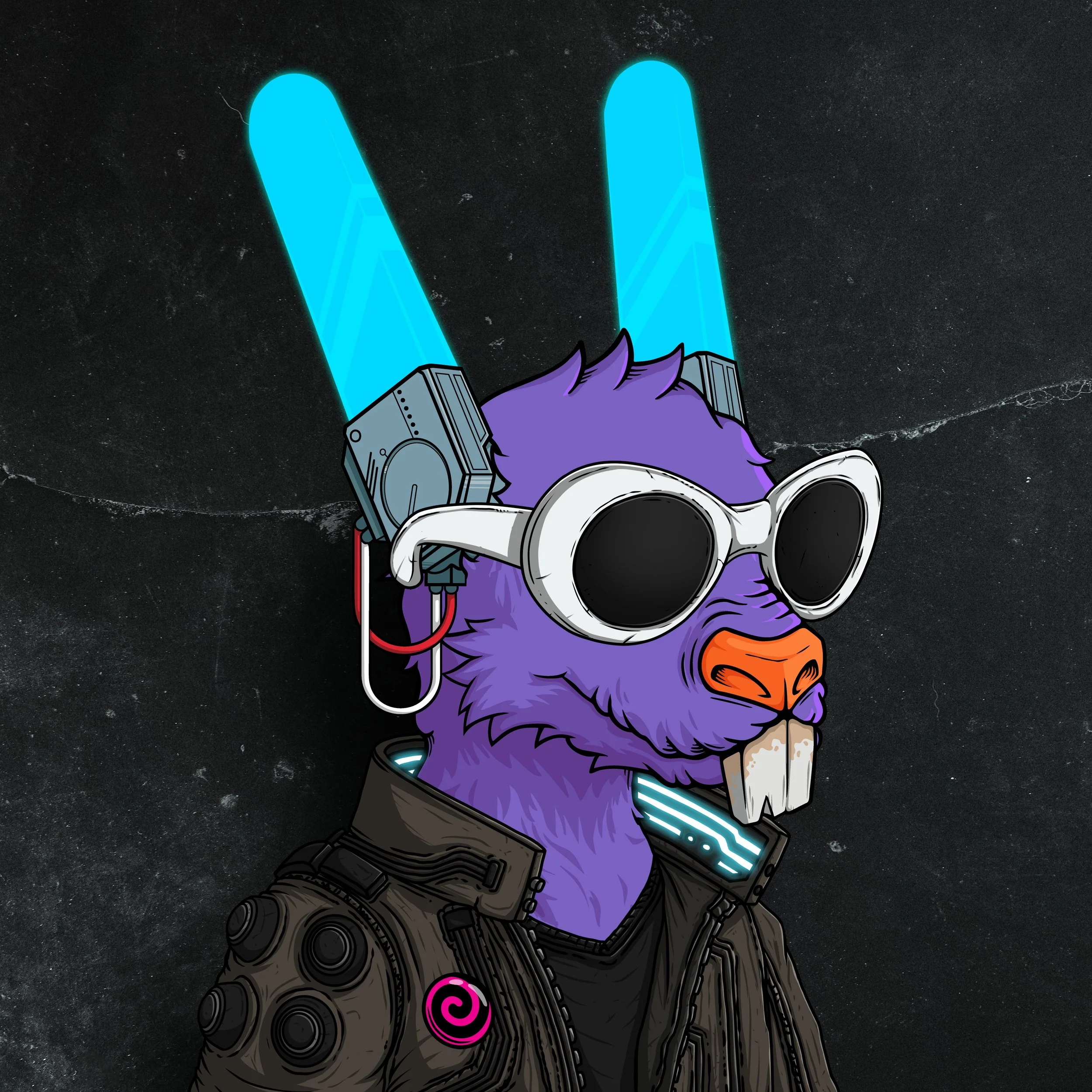 Dear Rabbit Resurrection Society