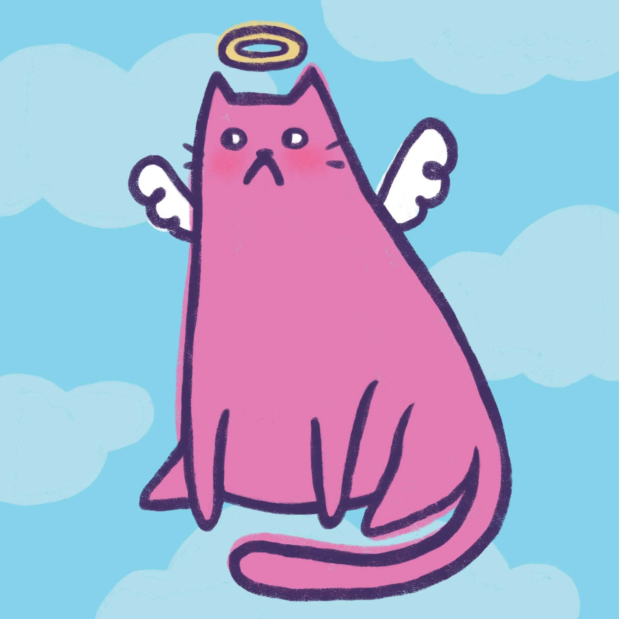 kjw_kitty.jpg