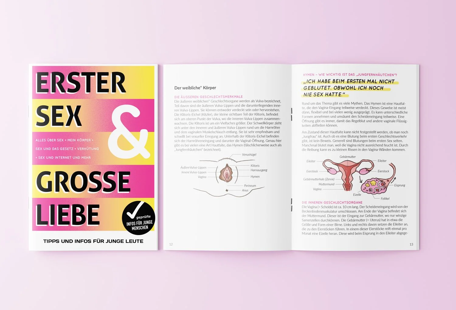   “Erster Sex und Große Liebe”  (mock up), Bundesnetzwerk Österreichische Jugendinfos,  October 2022 