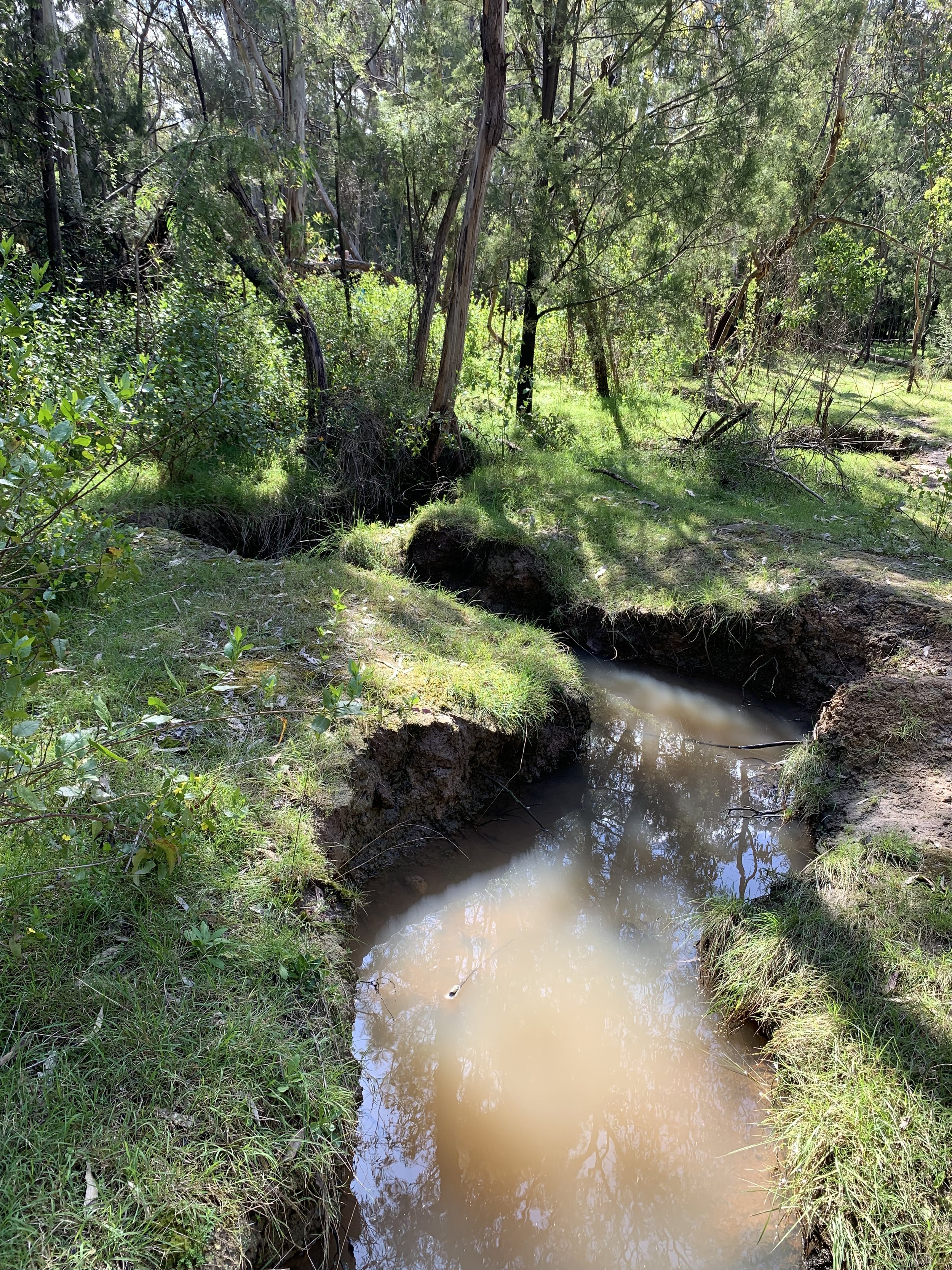 The wet weather box