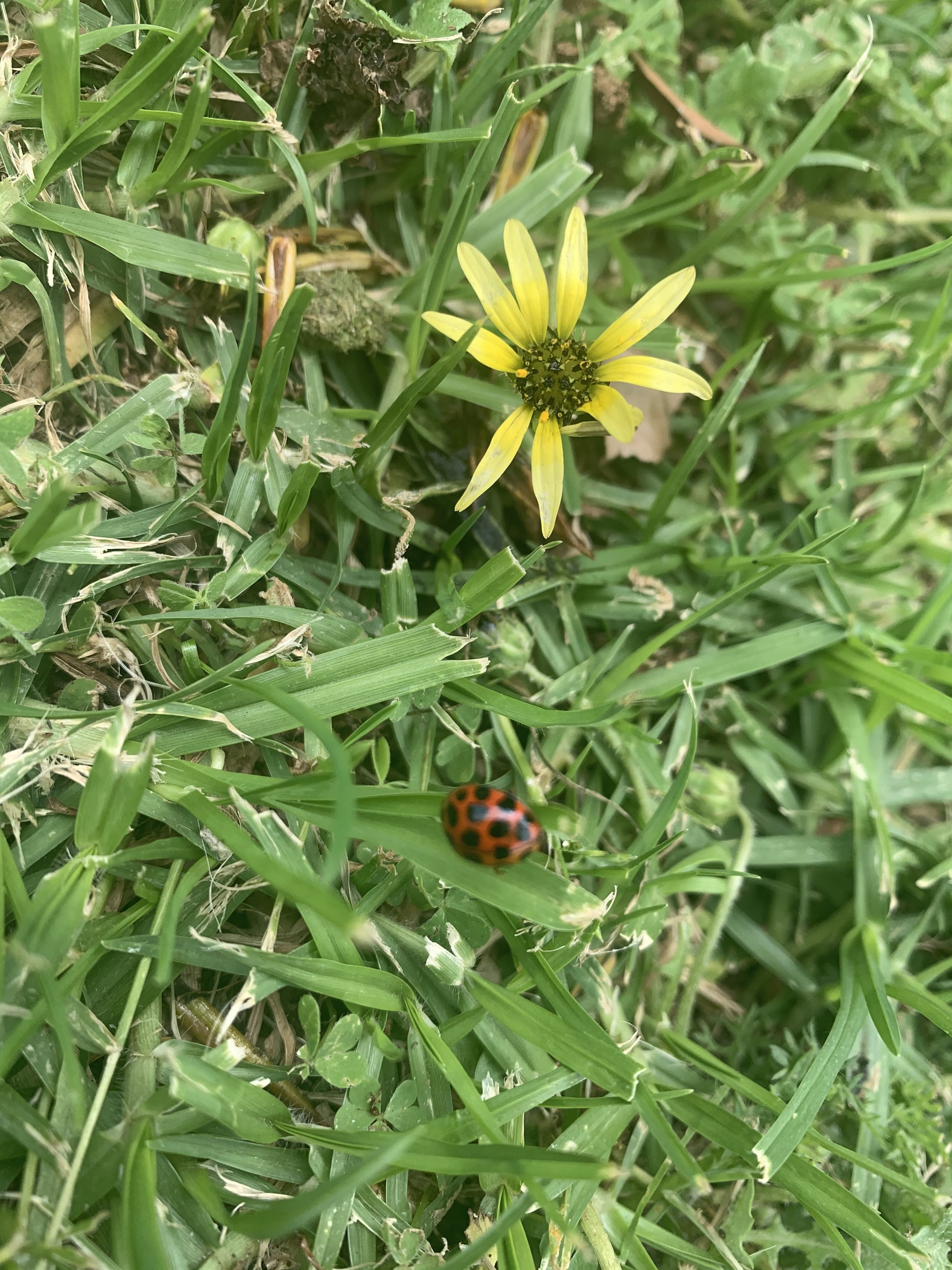 Goodbye to summer