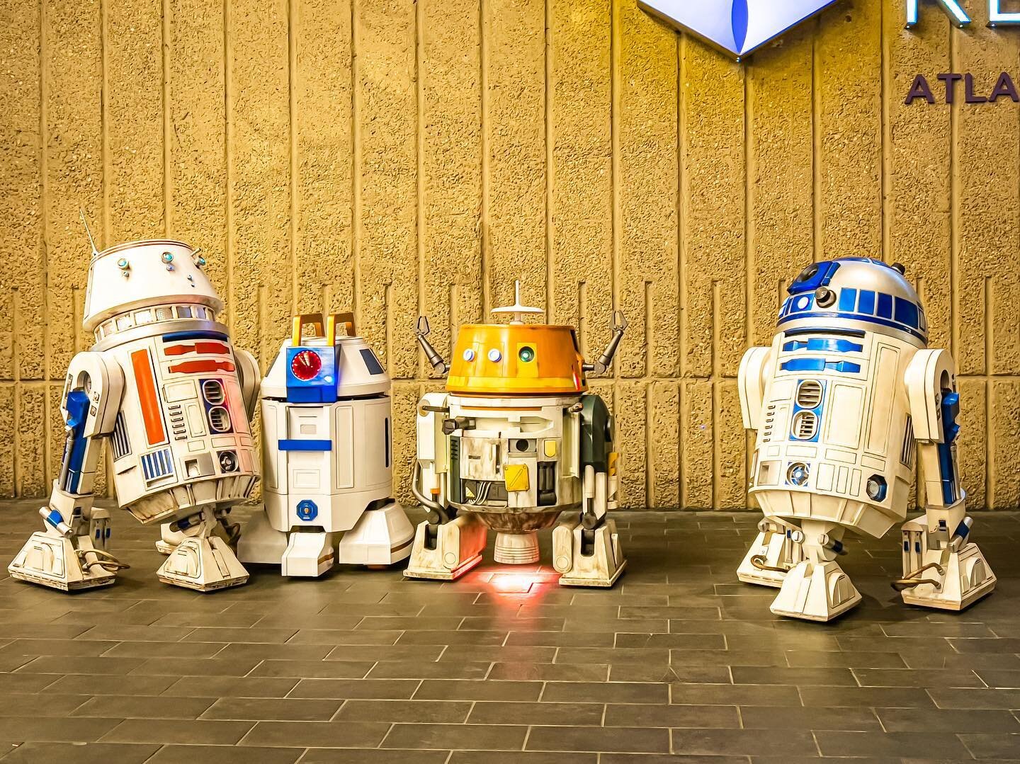 #DragonCon begins - #Starwars on display