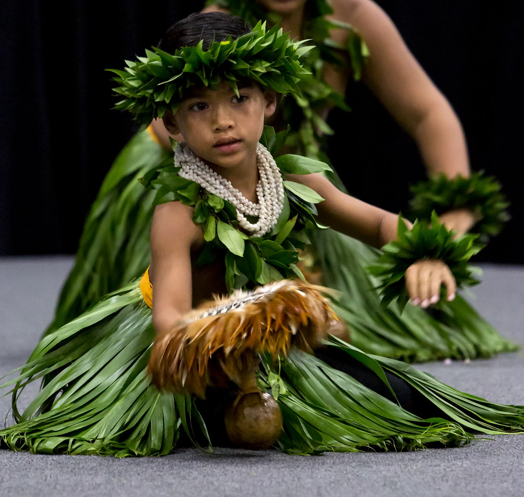 Hula-1731.jpg