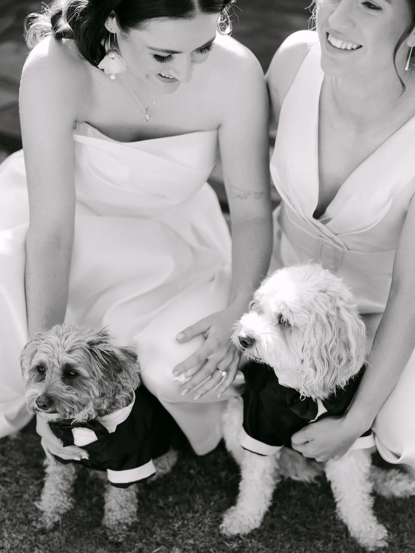 Cas + Talia - Married, wild &amp; Free ❤️&zwj;🔥 

Venue @mountosmondgolfclub  Celebrant @melanieschubertcelebrant  Hair and makeup: Kate Roxby Florist @adarios.flowers