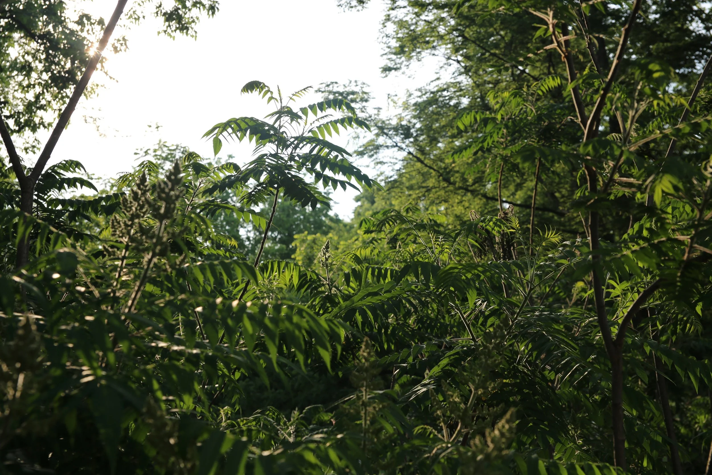 I58A7745.jpg