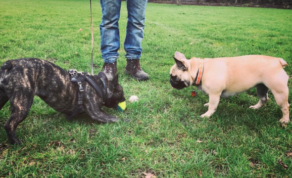 Screen Shot 2017-04-12 at 19.02.35.png