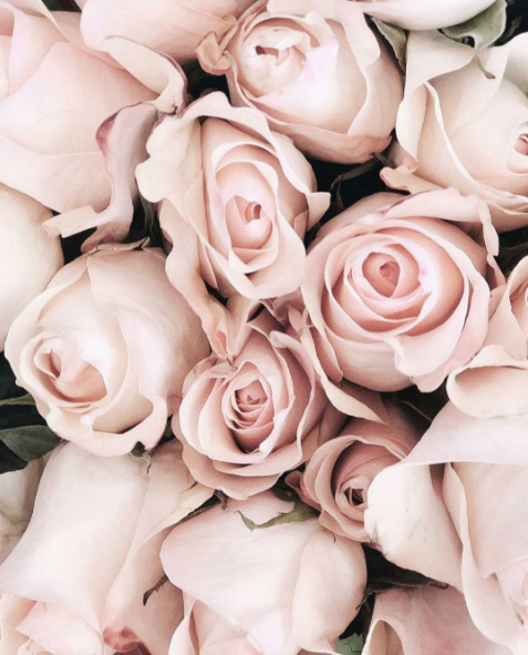 Valentine's Day Gift Guide for Her