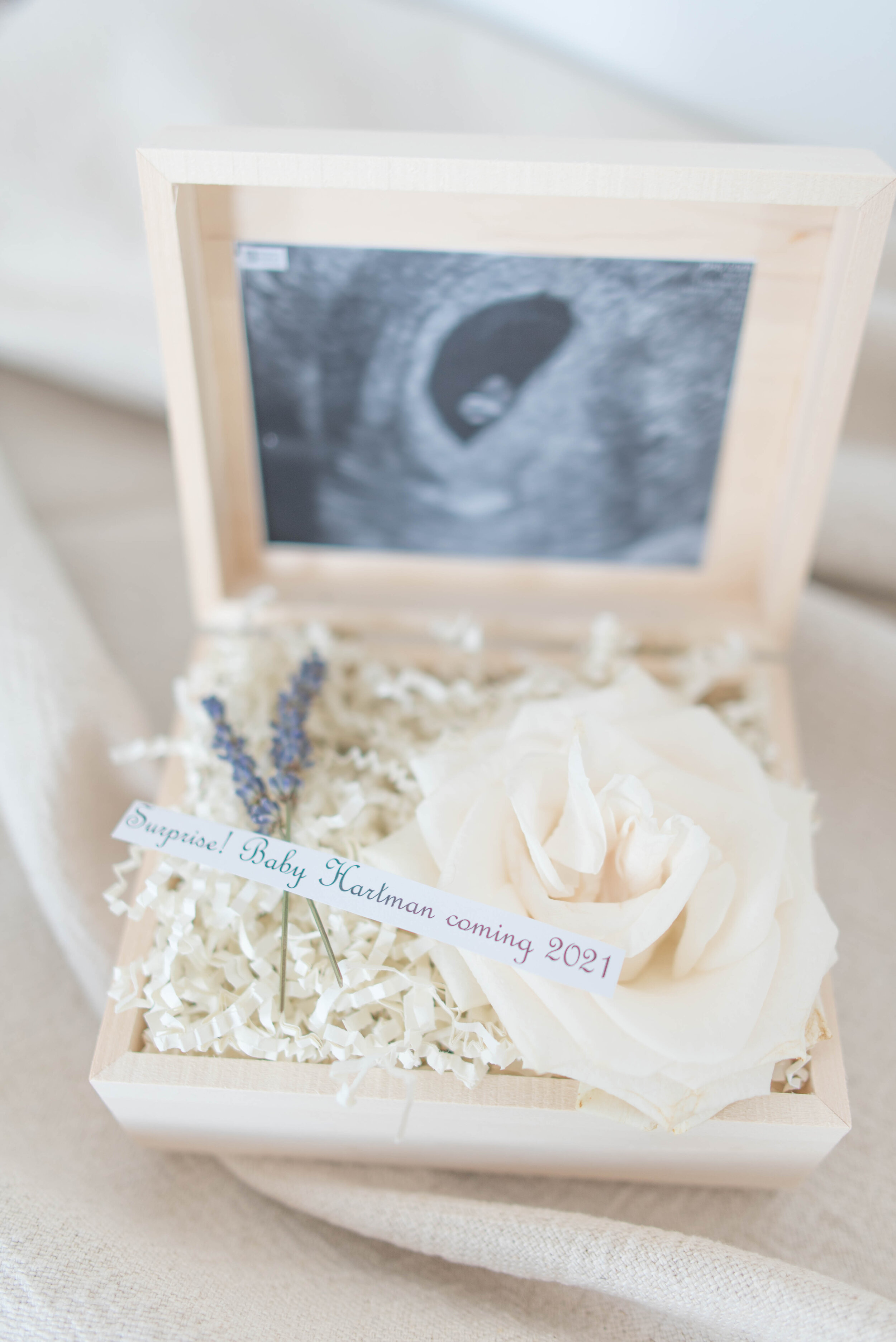 DIY Creative Pregnancy Announcement — Anna Elizabeth