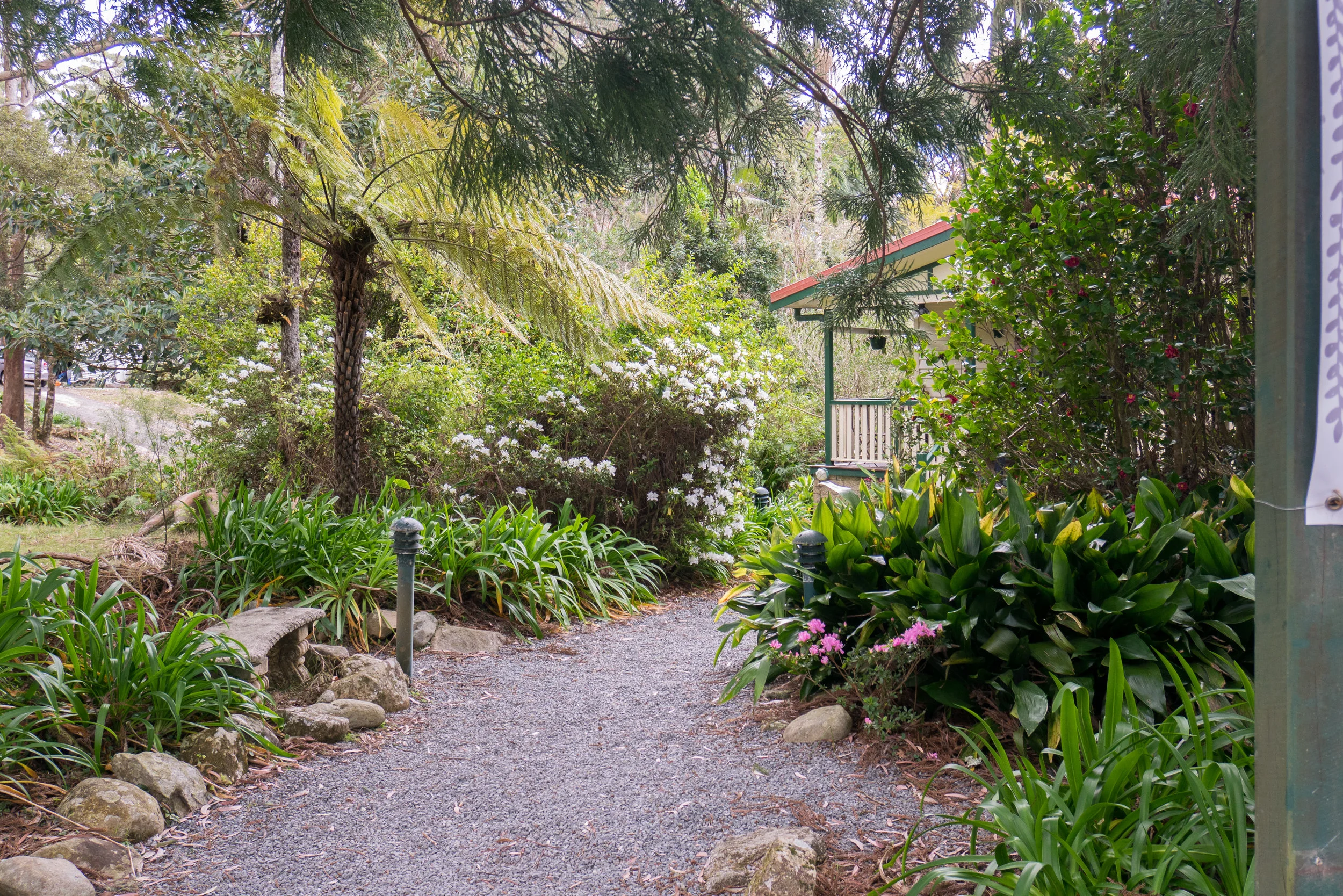 P1020591.jpg