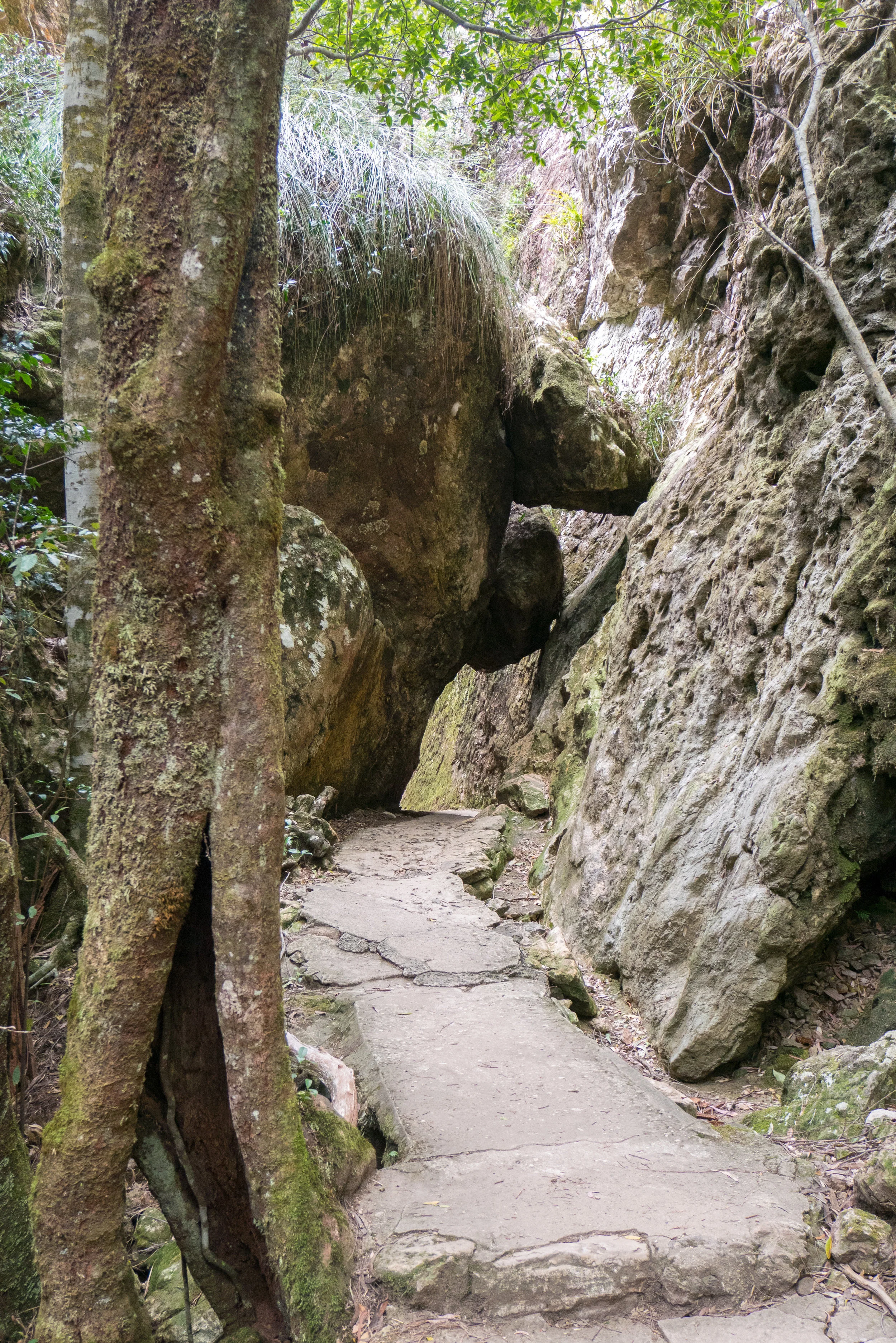 P1020653.jpg
