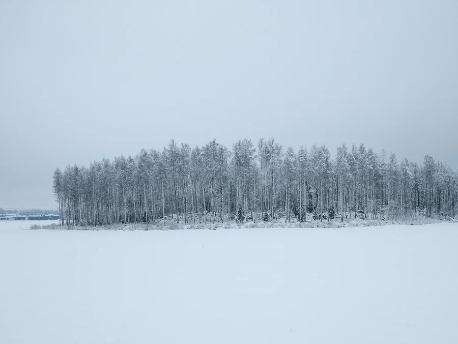 P1030069-1.jpg