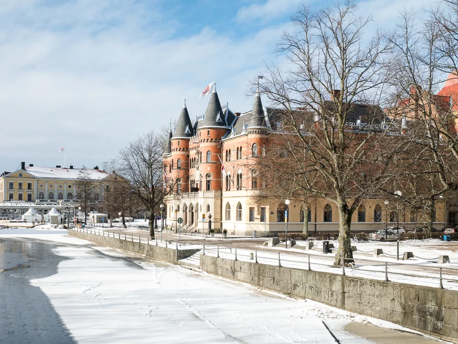 P1030619-1.jpg