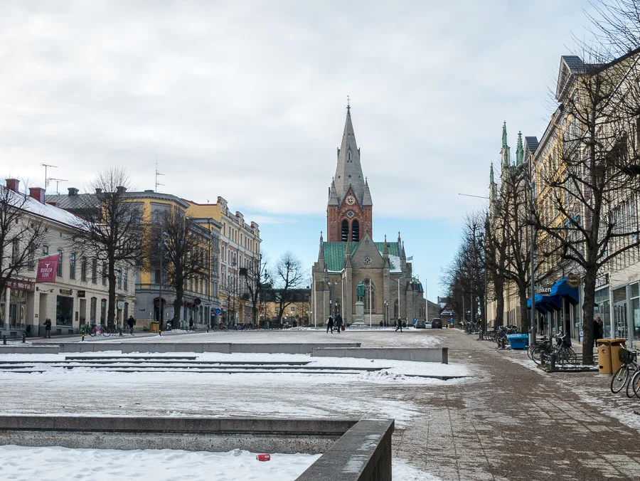 P1030636-1.jpg