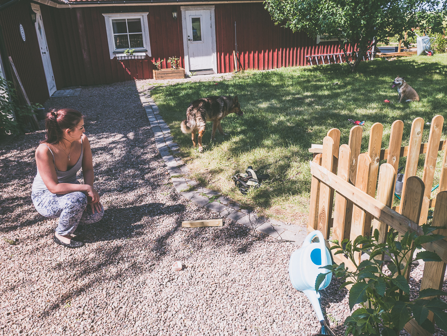 P1050108-2-1.jpg