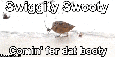 swigety.gif