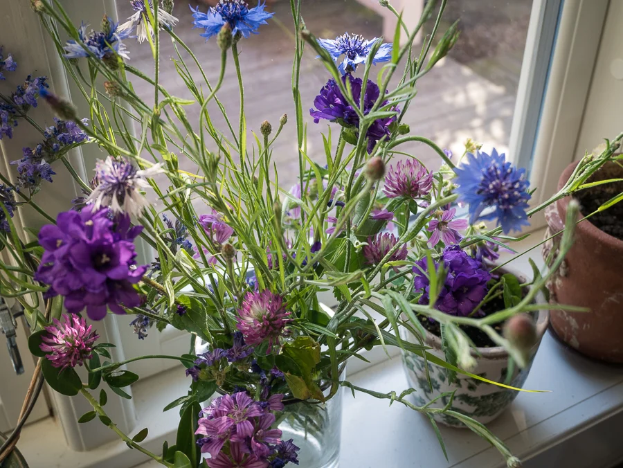 P1070883-1.jpg