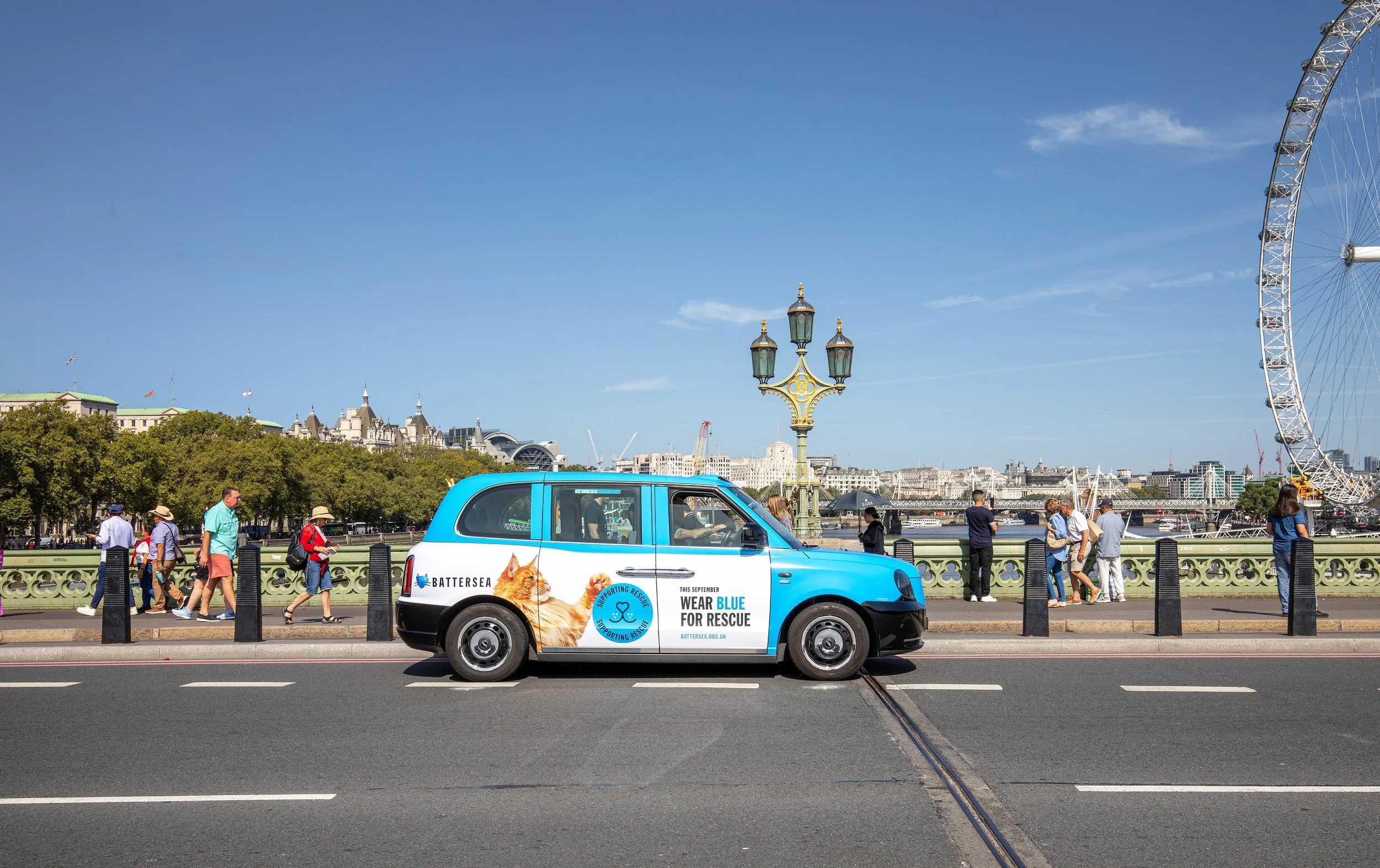 Battersea Cats and Dogs - Ubiquitous London - 2023_9.jpg