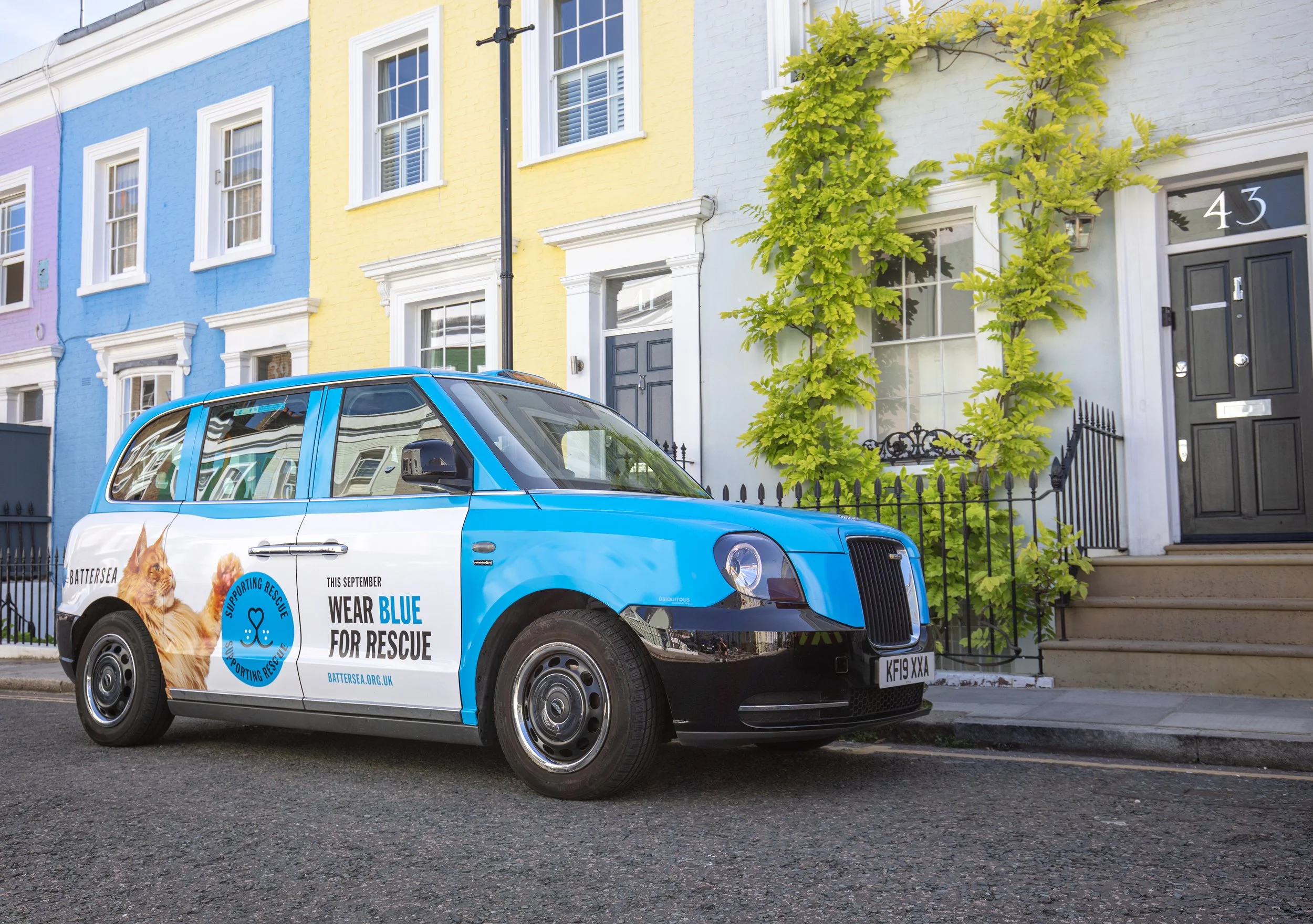 Battersea Cats and Dogs - Ubiquitous London - 2023_6.jpg