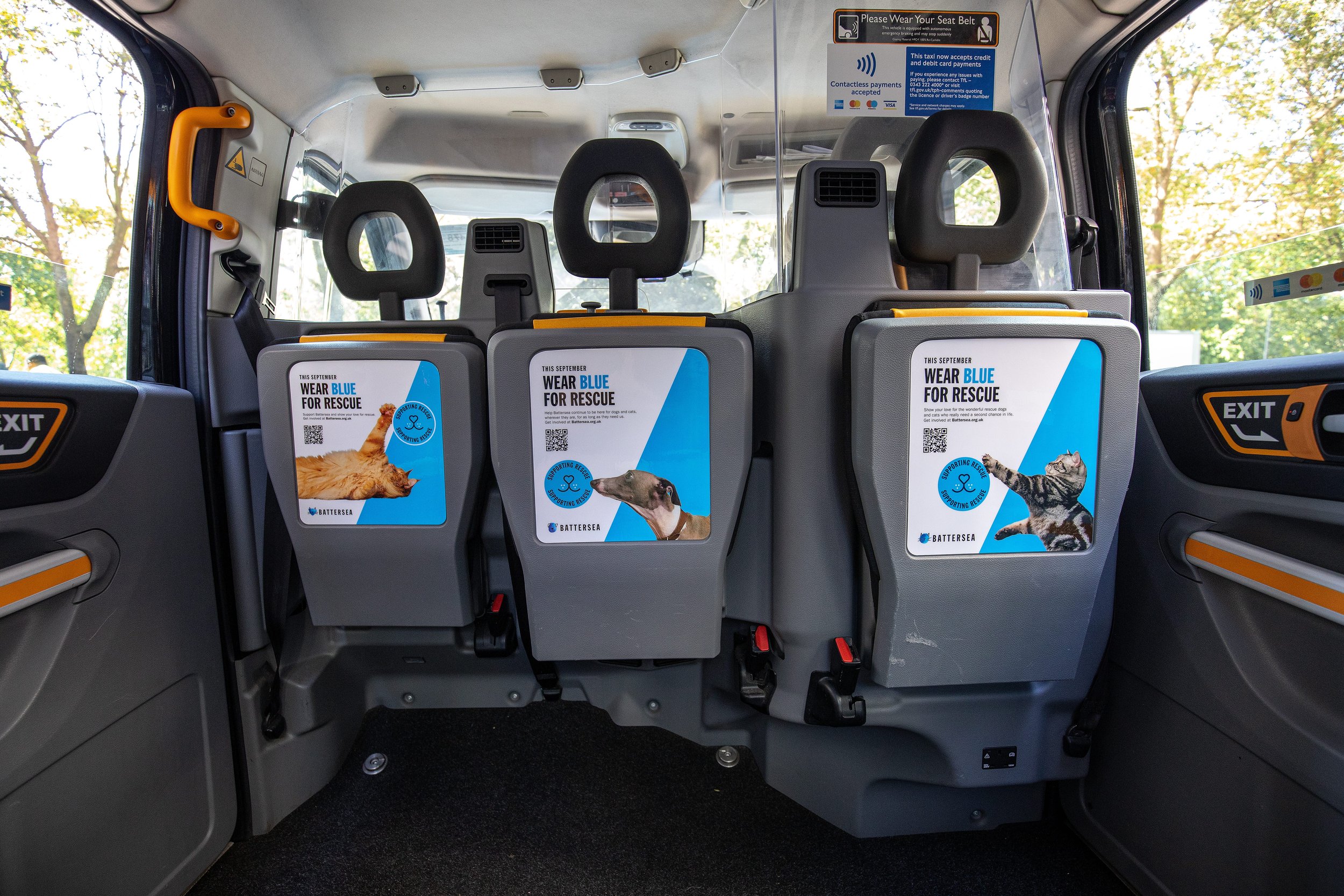 Battersea Cats and Dogs - Ubiquitous London - 2023_1-min.jpg