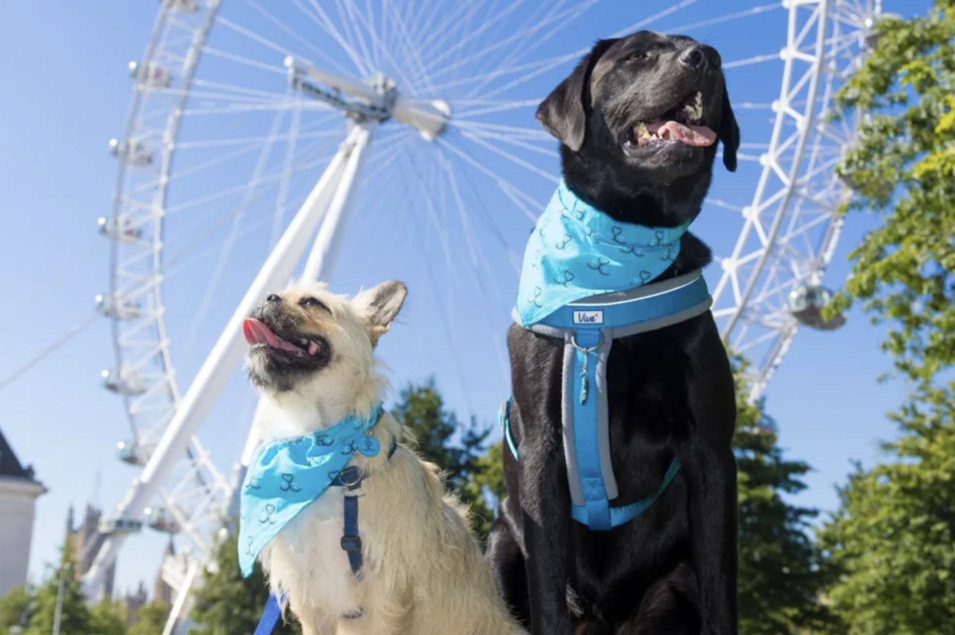 Screenshot 2023-10-05 at 09.38.02.png