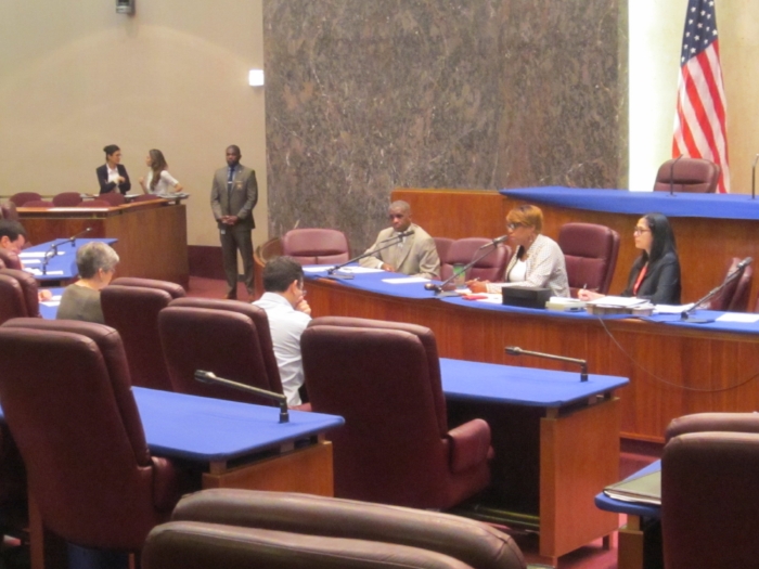 Julie Justicz testifies before the City Council Committee on Human Relations