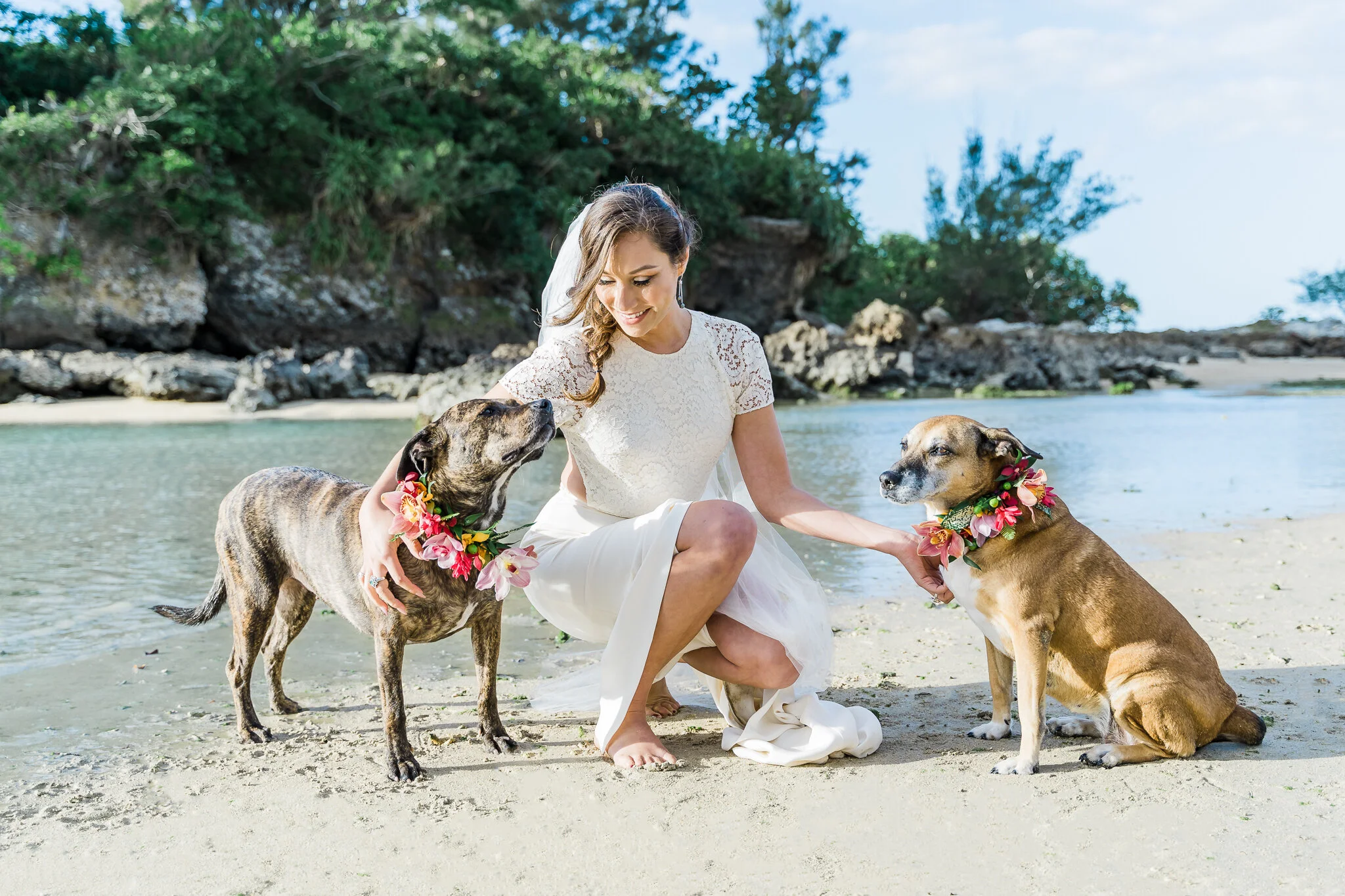 chatzy leash and collar