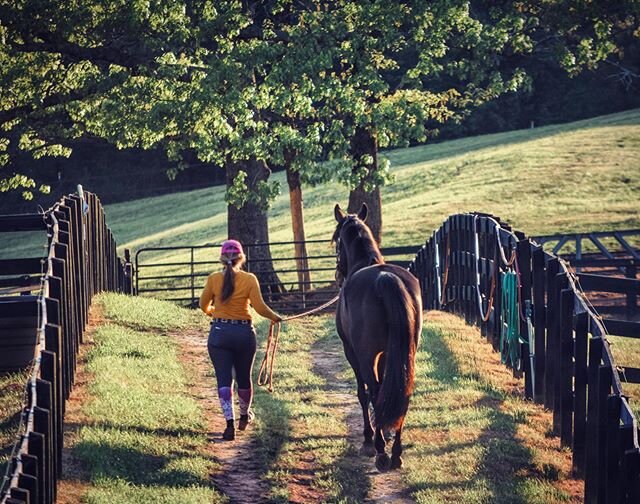 &ldquo;Wherever you go, no matter what the weather, always bring your own sunshine.&rdquo; . . .  @redheadlins has a special talent for bringing the sunshine to a situation. We are so blessed to have her and Eugene at the farm while we all weather th