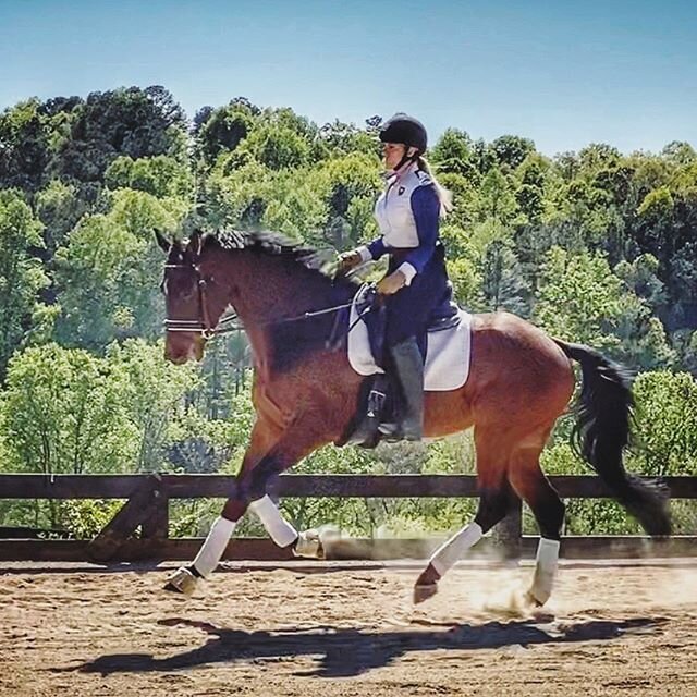 The final member of #teamparker @karenslipp got to meet our RRP Makeover candidate last week. (From a safe social distance of course 😉) She gave us a fabulous dressage lesson and I couldn&rsquo;t be more excited for this guys future. #teamworkmakest