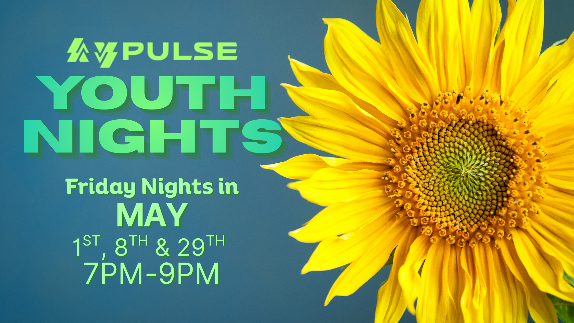 Pulse Youth Nights