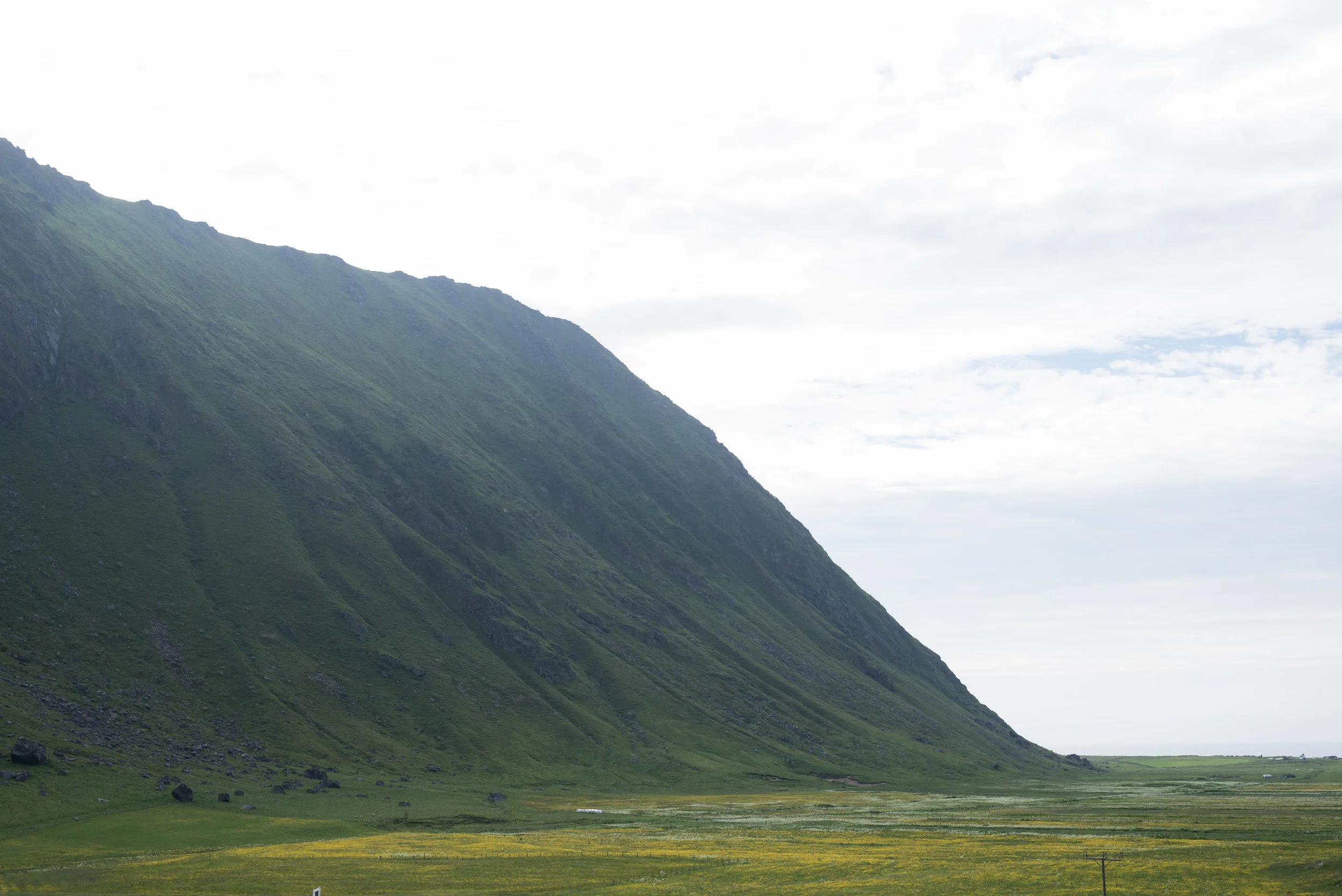 _DSC8583.jpg