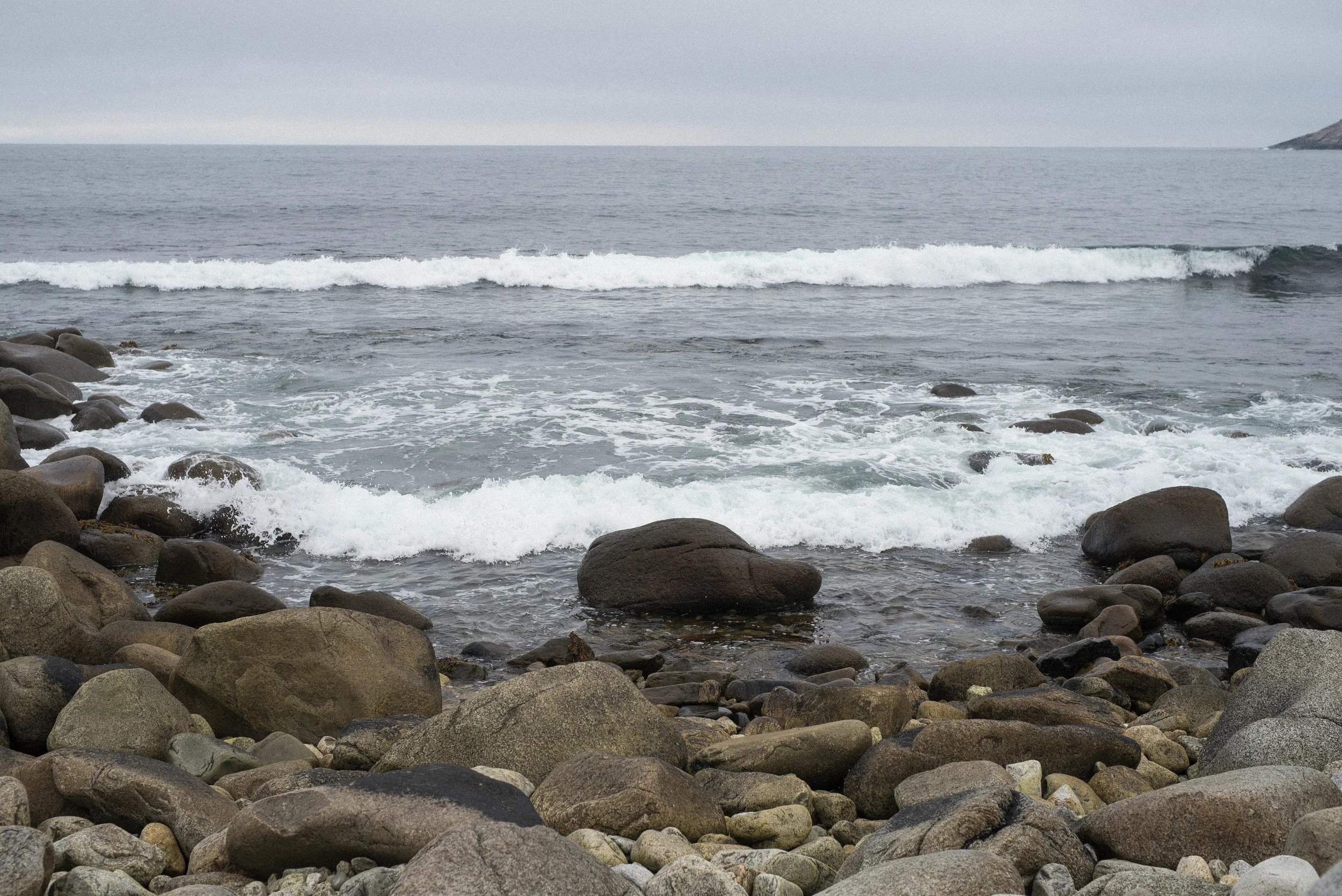 _DSC8939.jpg