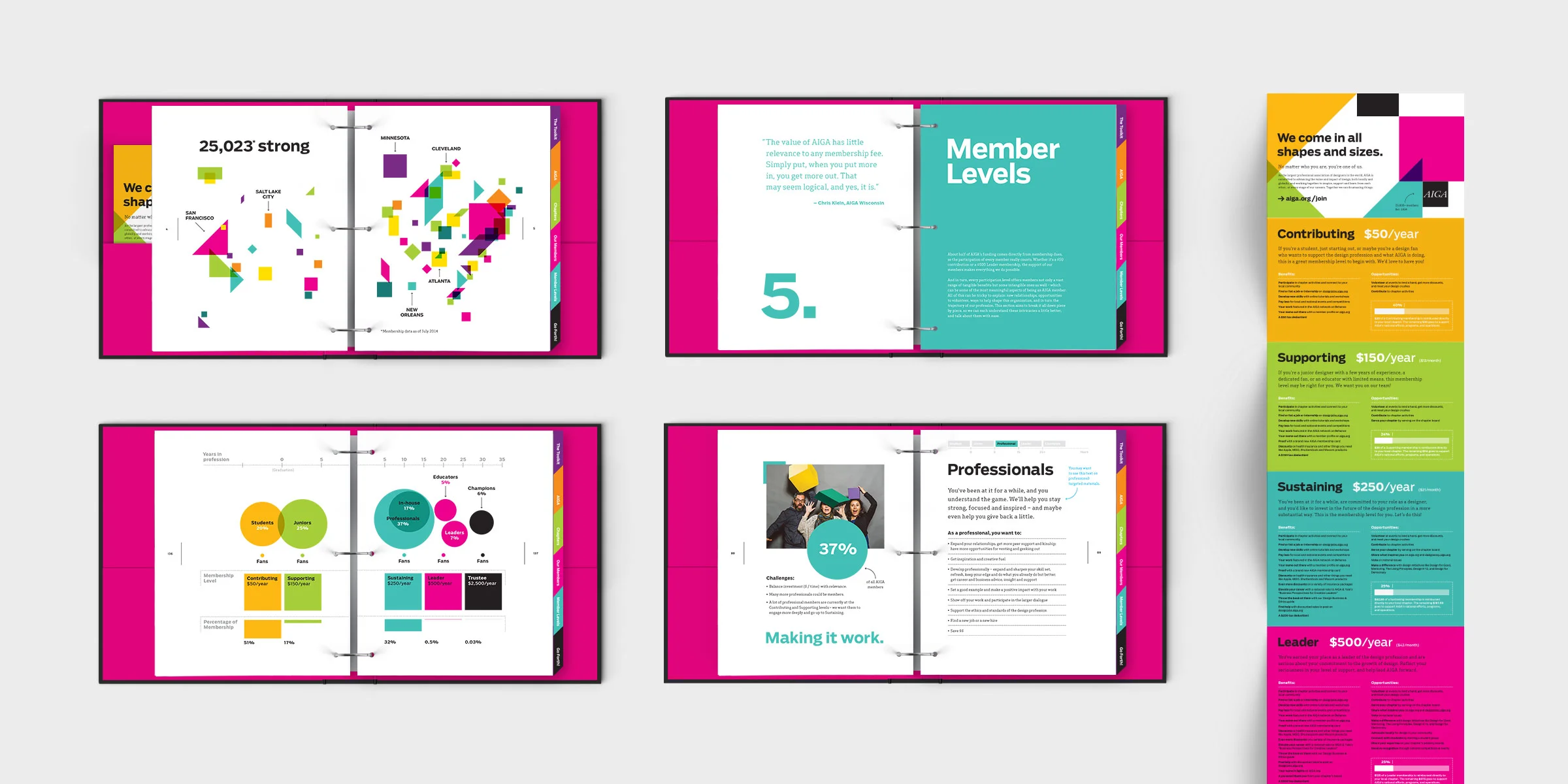 WORK_detail_AIGA_membership_04.jpg