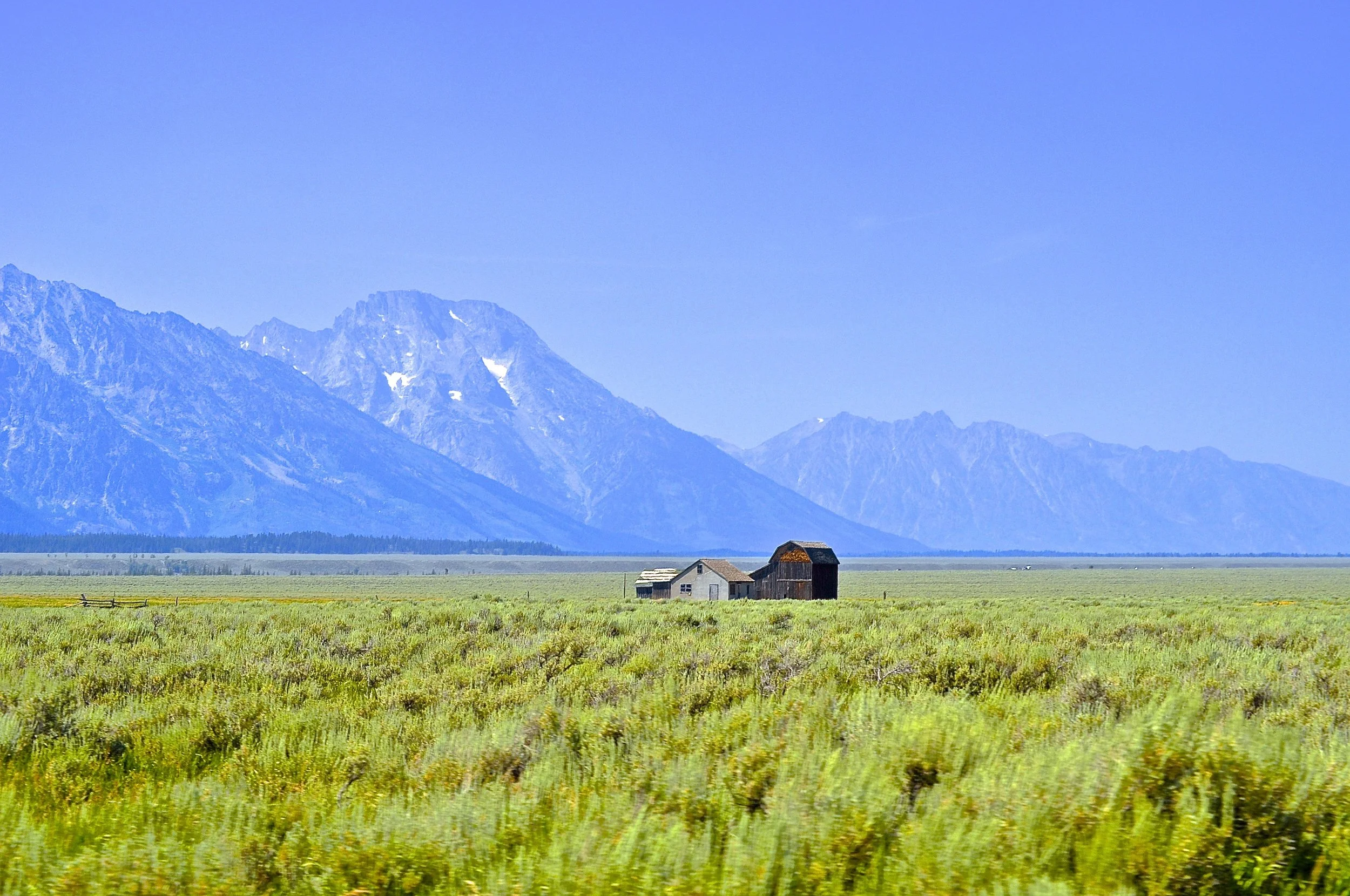 DSC_0835.jpg