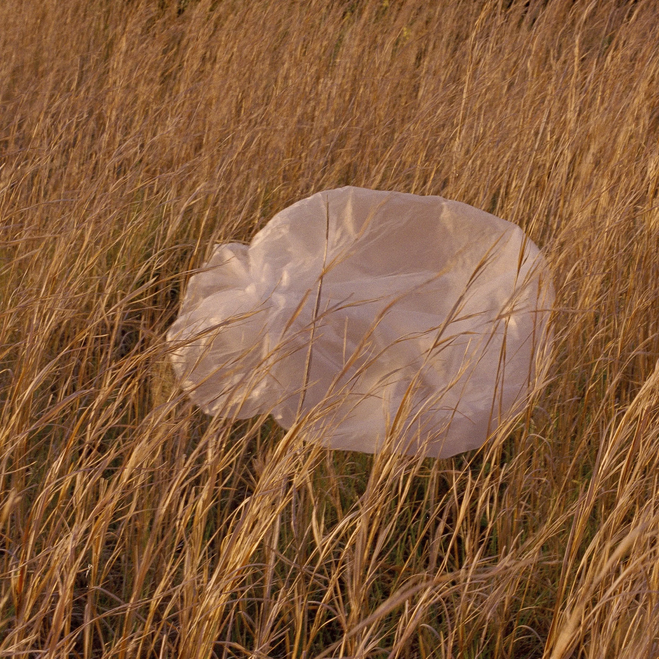 Holzer-Con-9.jpg