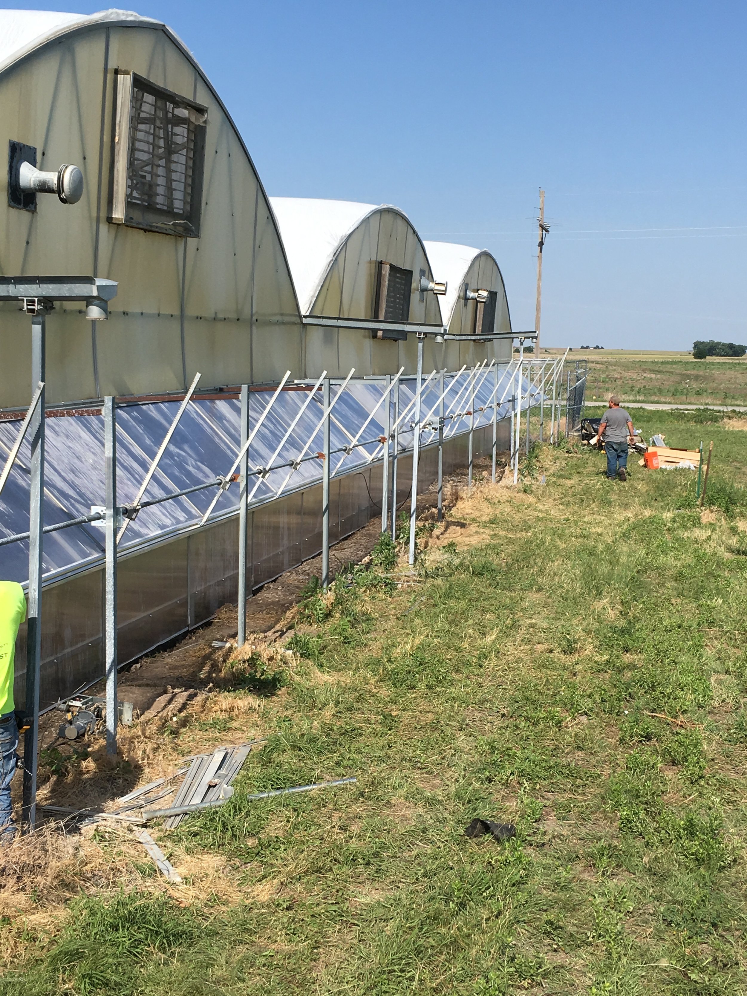 Bonnie Plant Farm Logo