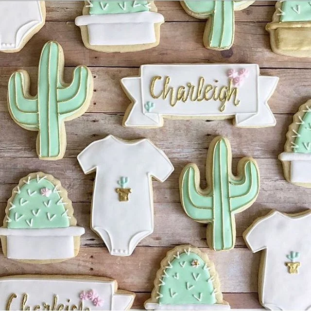 Cinco De Charleigh Celebration 👶 🌵 (6.18.18)
