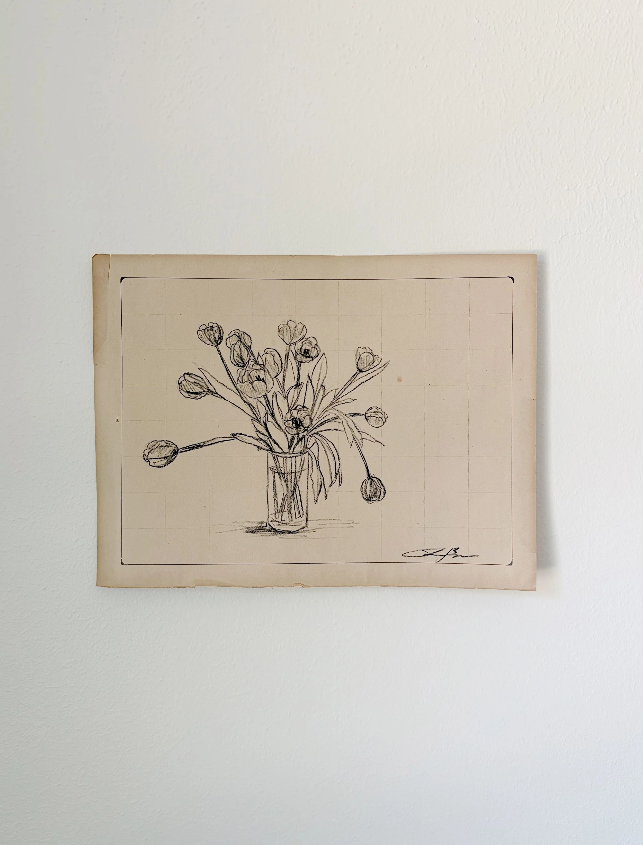 Tulip Study I