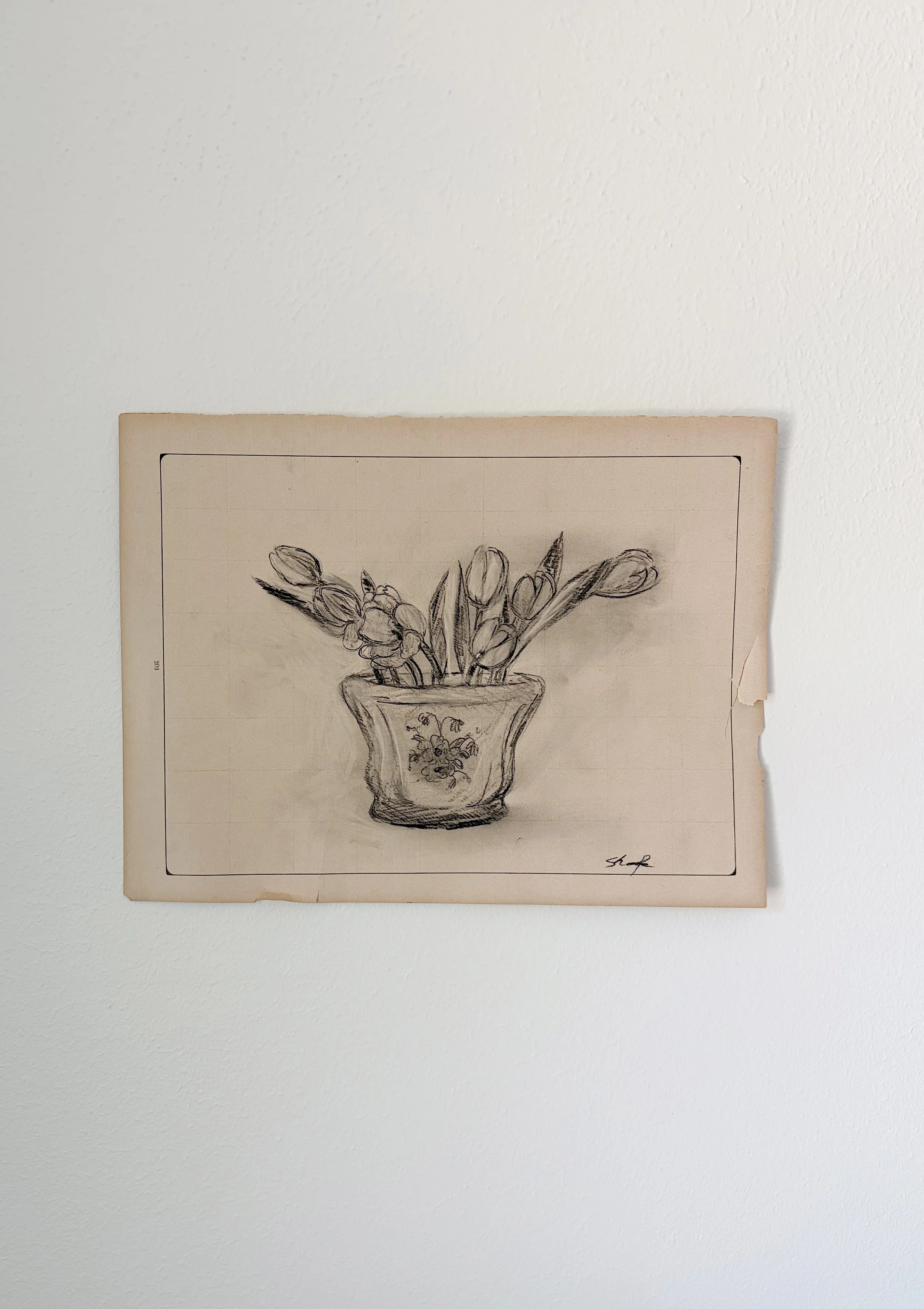 Tulip Study II
