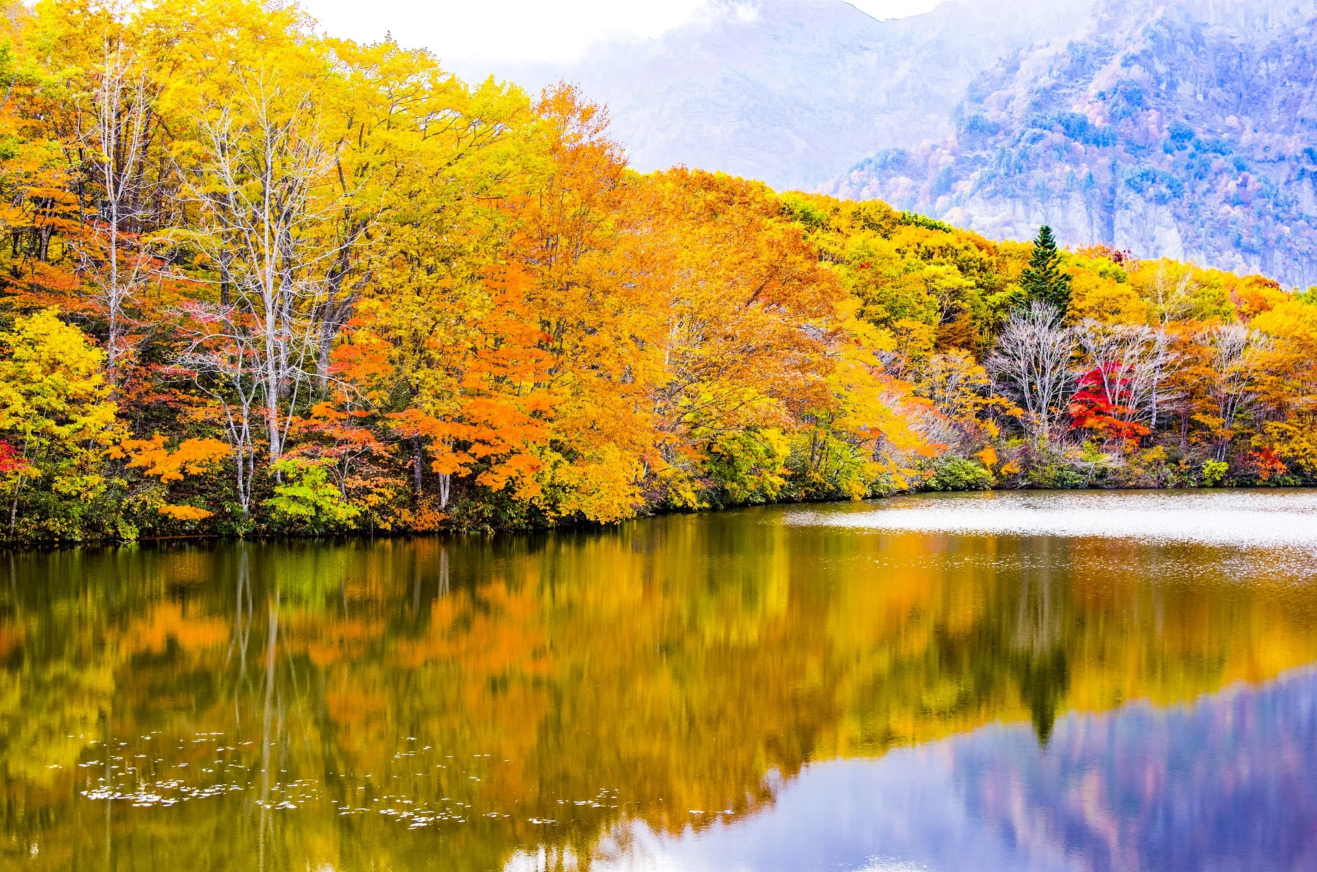 japan-autumn.jpg