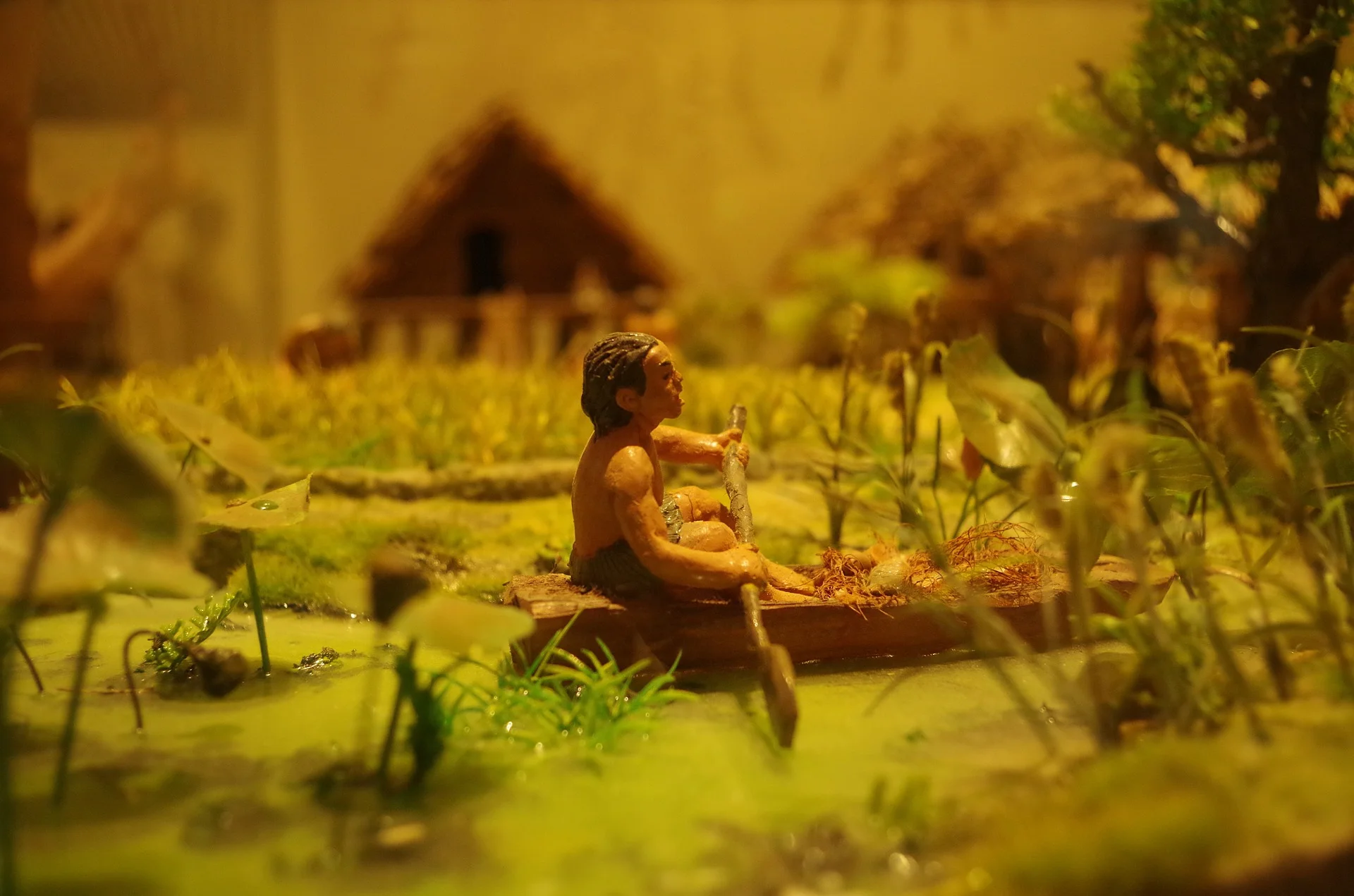 shanghai-natural-history-museum.jpg