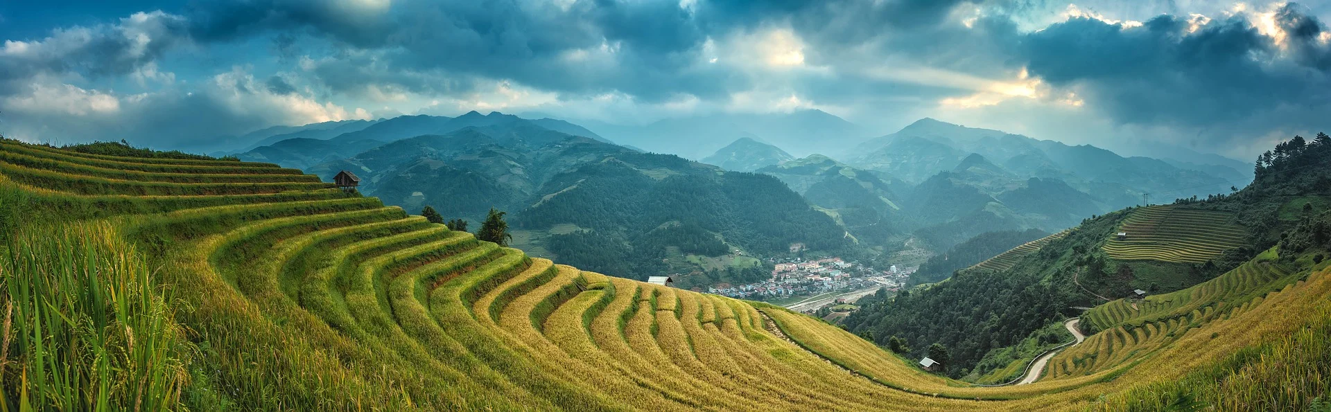 agriculture-guangxi.jpg