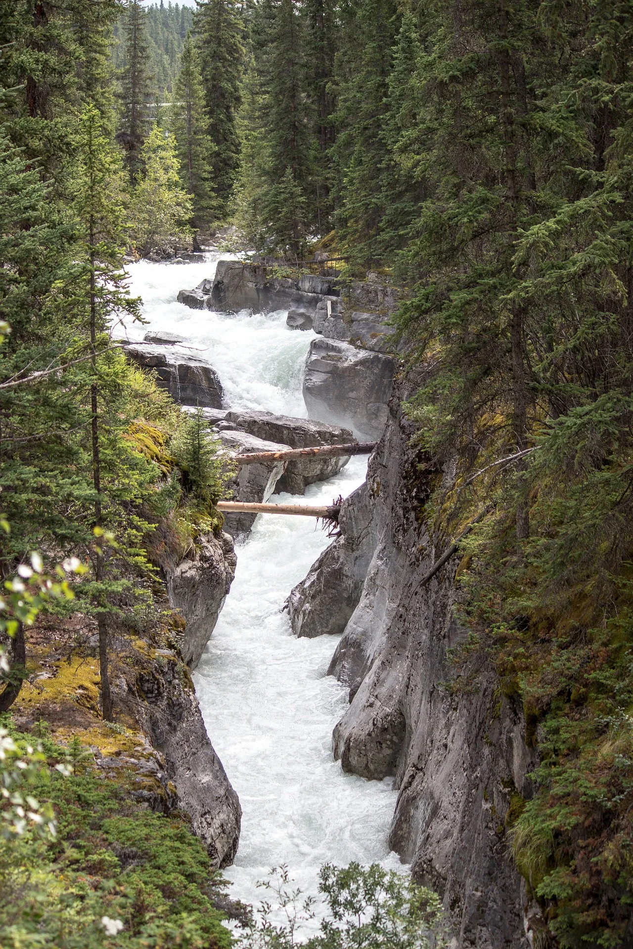 maligne-river.jpg