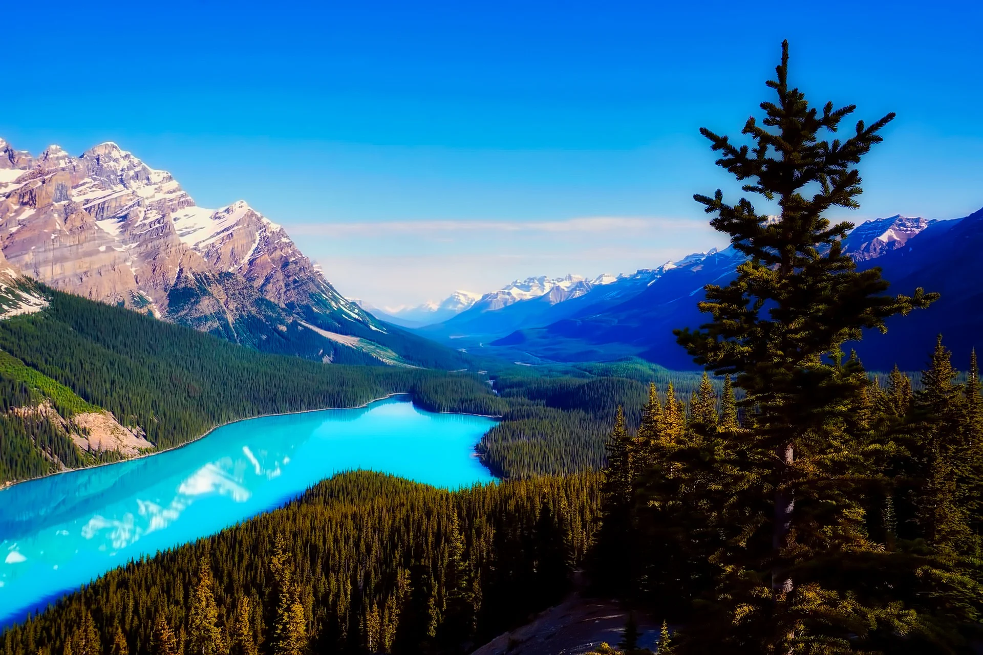 peyto-lake.jpg