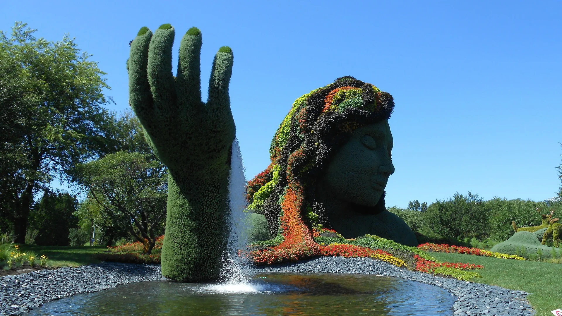 jardin.jpg