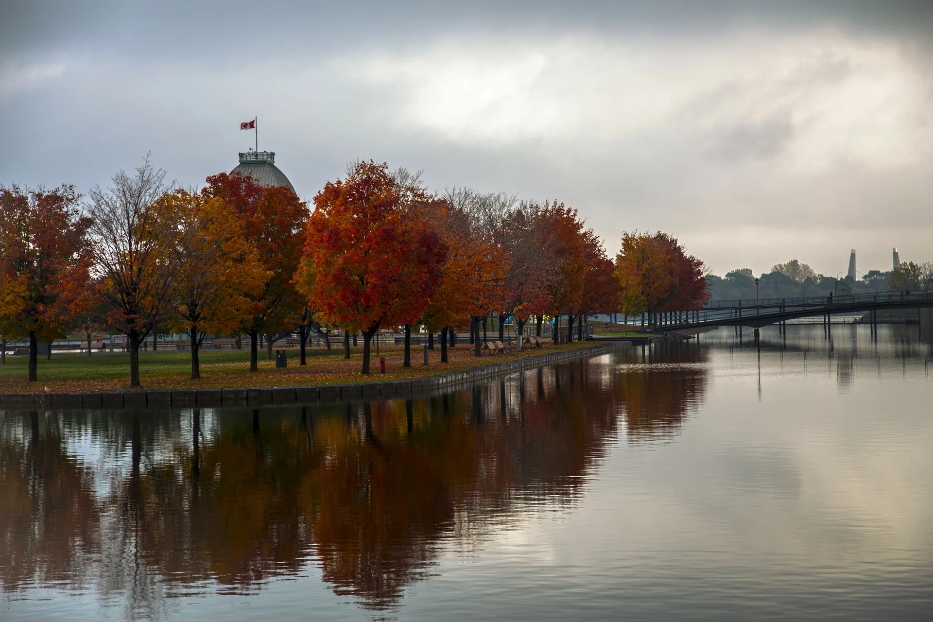 autumn-montreal.jpg