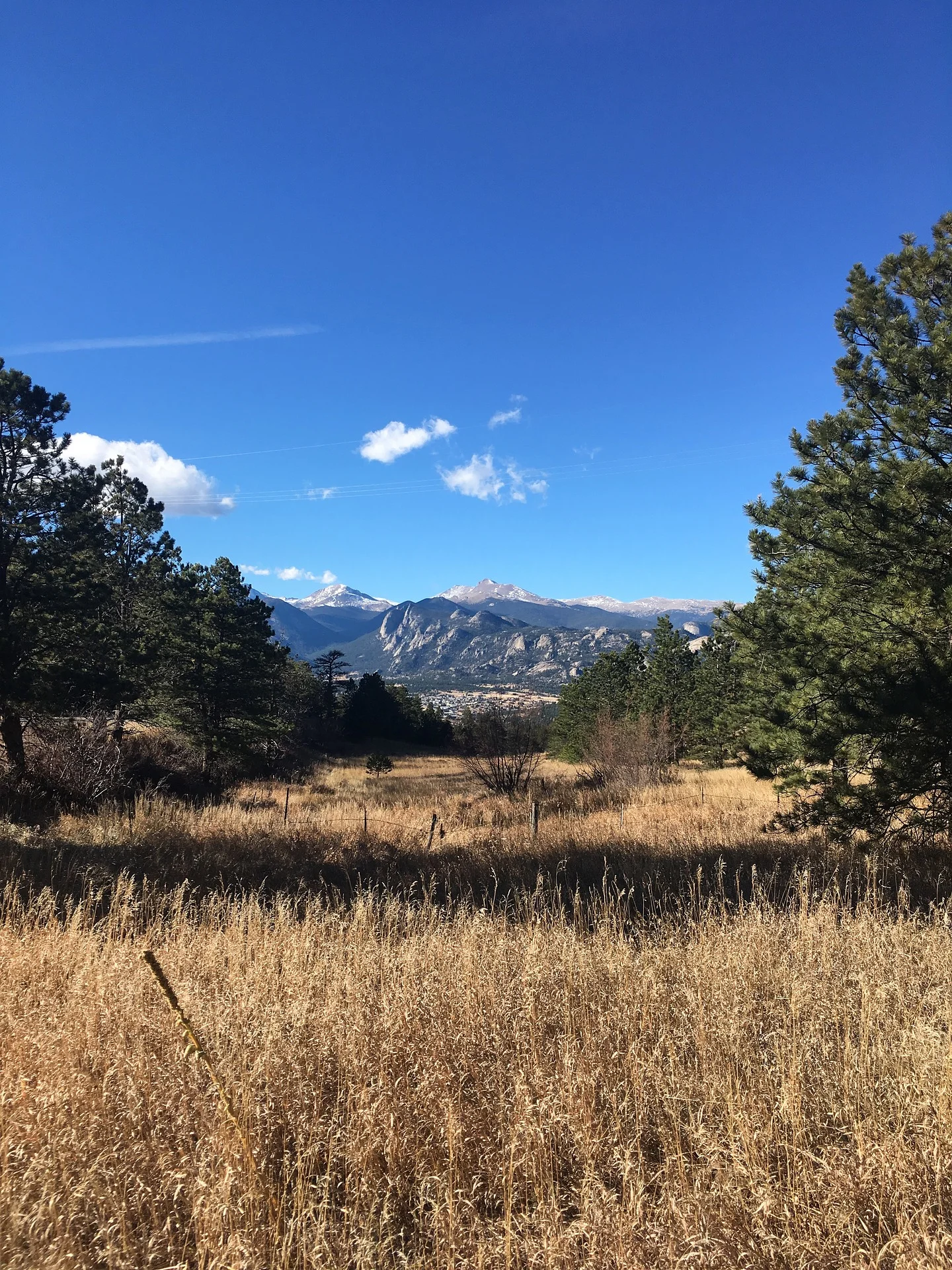 estes-2.jpg
