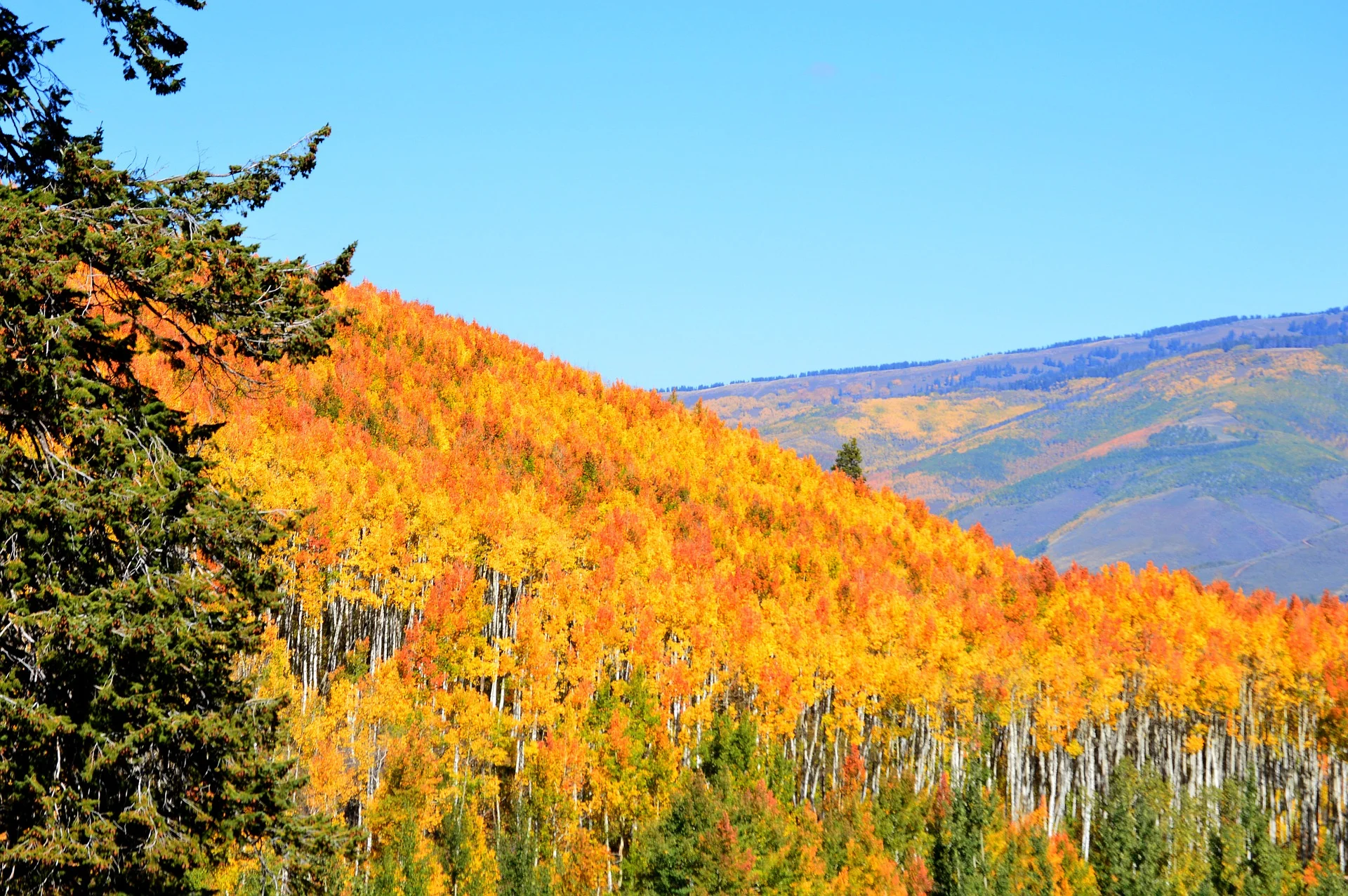 aspen-2.jpg