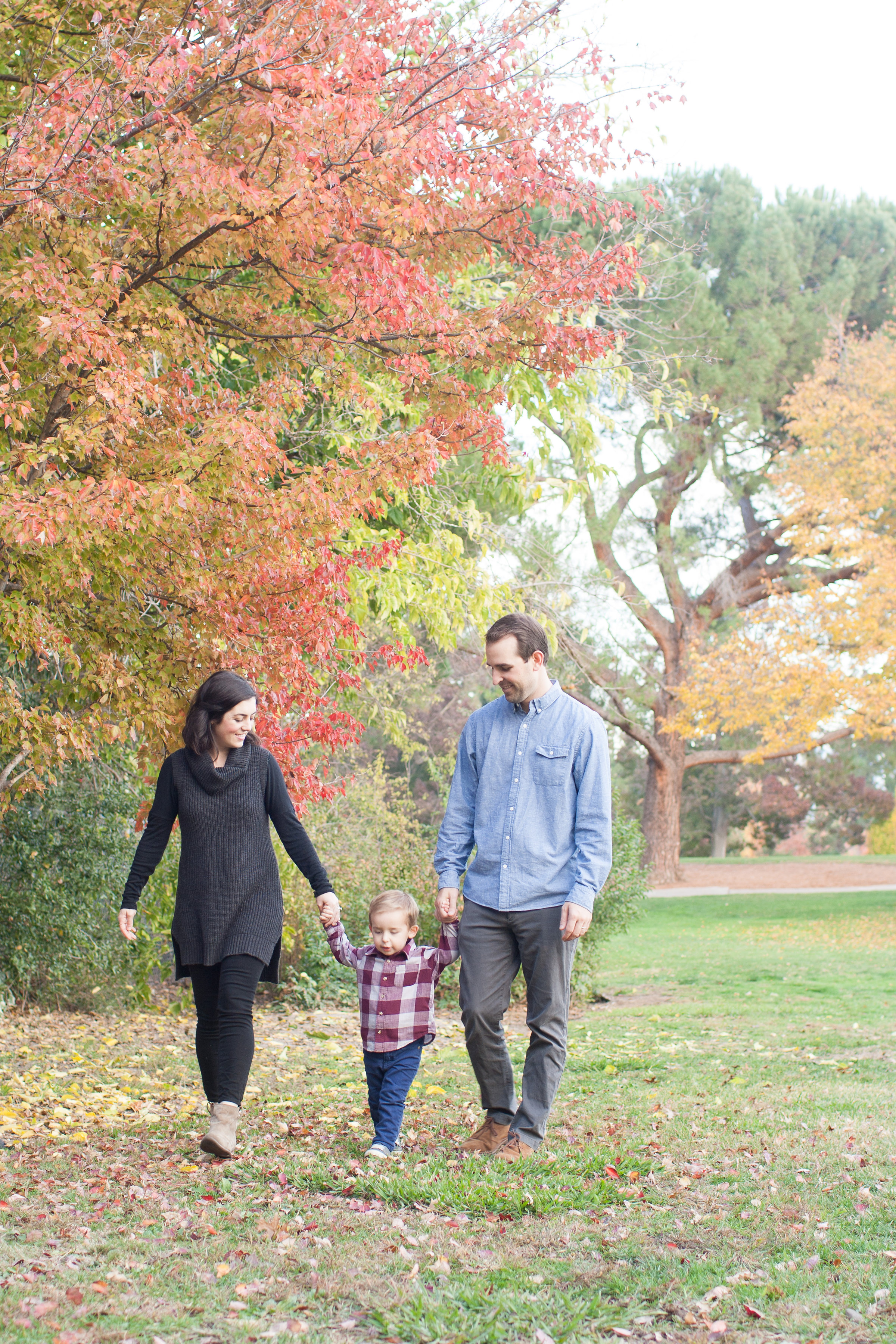 bolgerFamily2015-1-10.jpg
